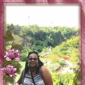 Meet your Posher, Arlene